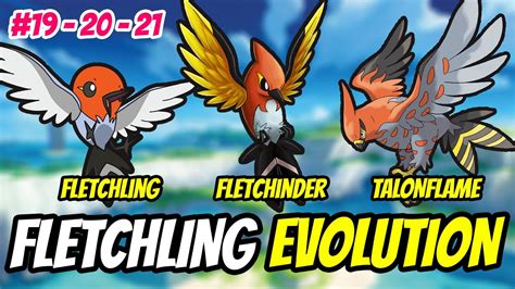 talonflame evolution